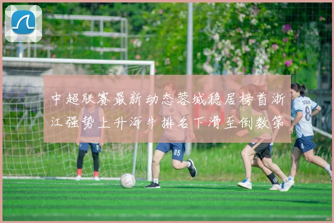 中超联赛最新动态蓉城稳居榜首浙江强势上升海牛排名下滑至倒数第三