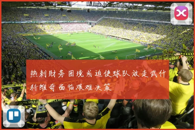 热刺财务困境或迫使球队放走武什科维奇面临艰难决策